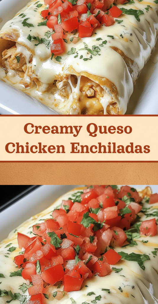 Queso Chicken Enchiladas