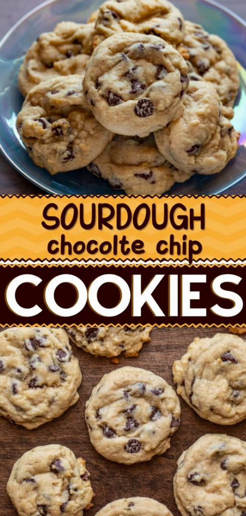 Sourdough Chocolate Chip Cookies